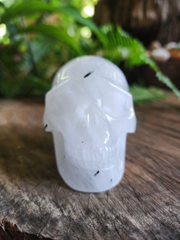 Large Black Tourmaline in Quartz Crystal Skull Carving - Carving Australia