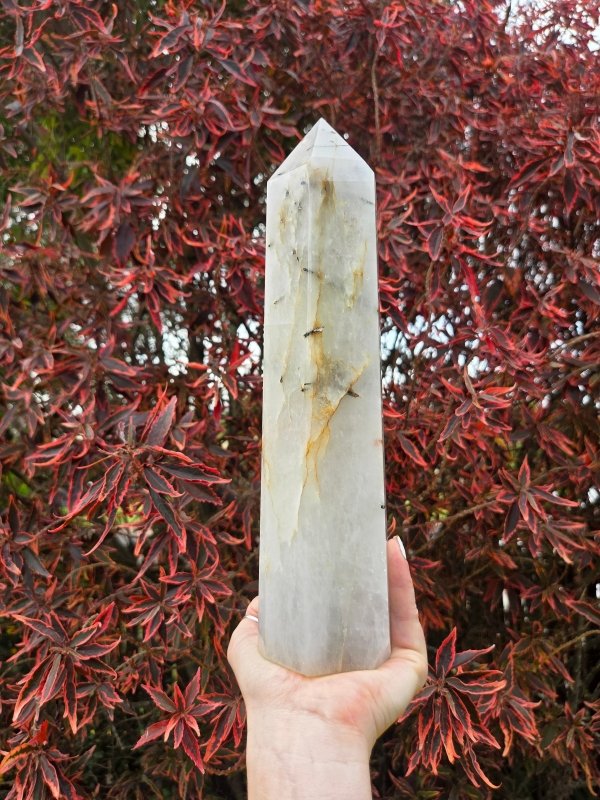 Large Black Tourmaline in Quartz Crystal Tower Point 28cm - Crystals Australia