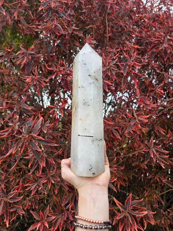 Large Black Tourmaline in Quartz Crystal Tower Point 28cm - Crystals Australia