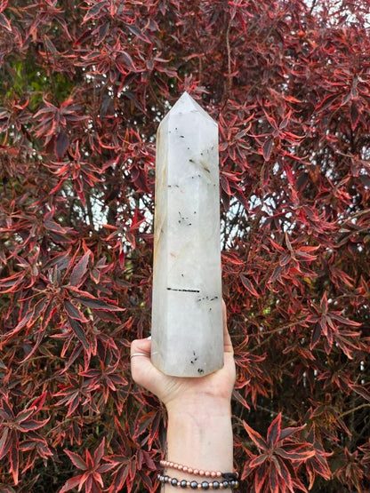 Large Black Tourmaline in Quartz Crystal Tower Point 28cm - Crystals Australia