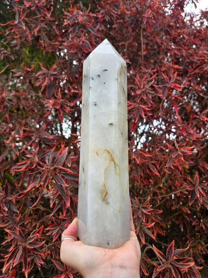 Large Black Tourmaline in Quartz Crystal Tower Point 28cm - Crystals Australia