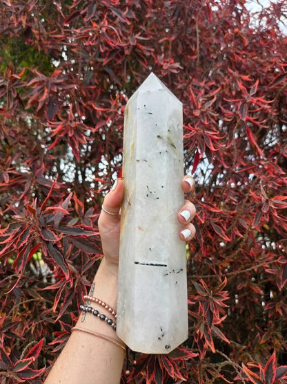 Large Black Tourmaline in Quartz Crystal Tower Point 28cm - Crystals Australia