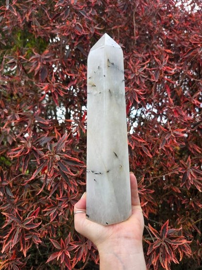 Large Black Tourmaline in Quartz Crystal Tower Point 28cm - Crystals Australia