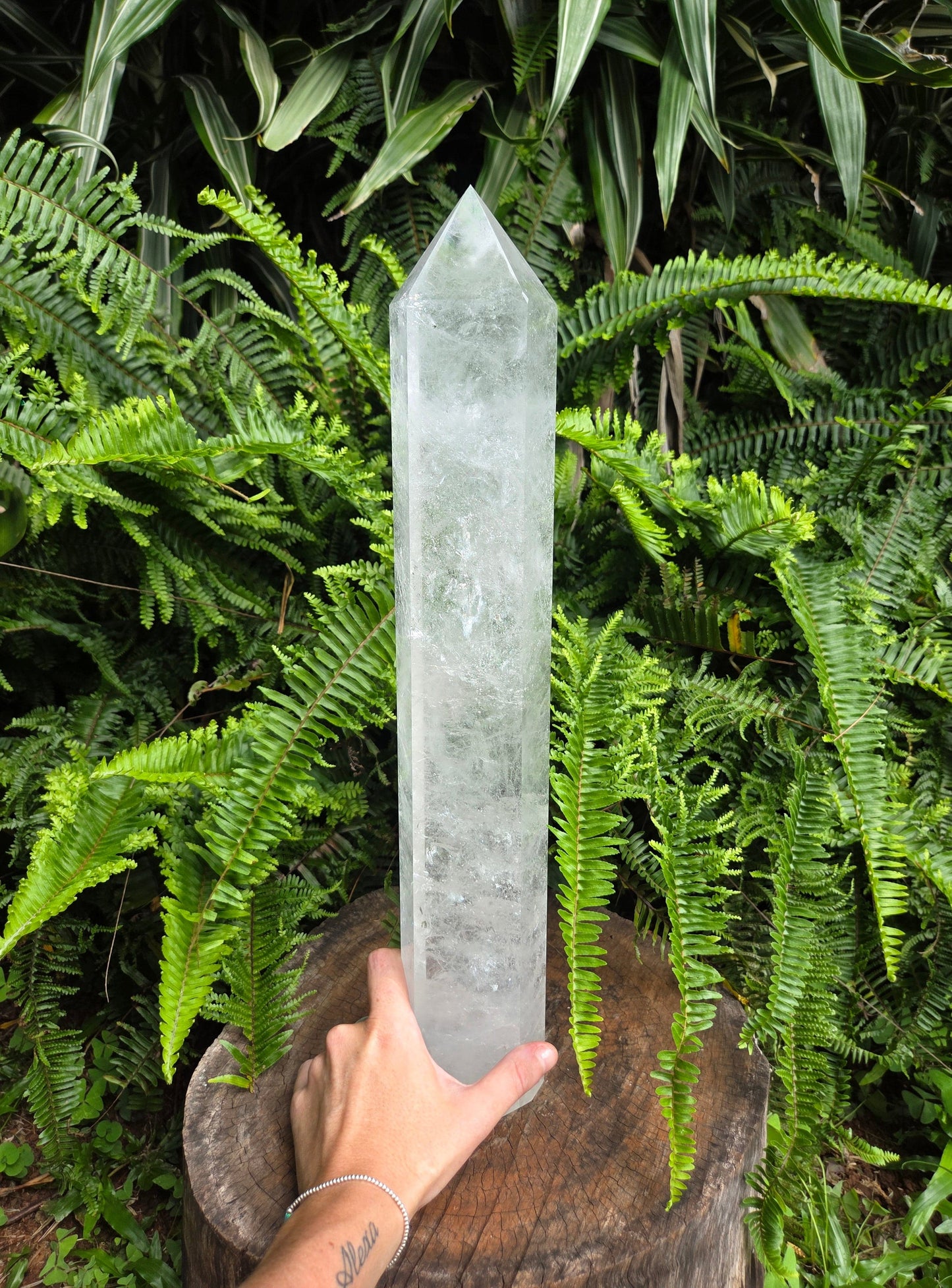 Clear crystal tower held by a hand against a green fern background