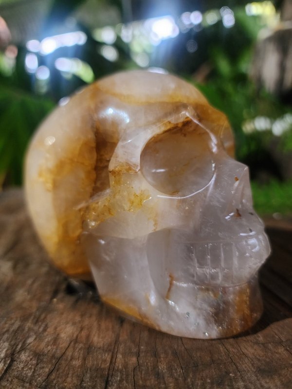 Large Golden Healer Quartz Crystal Carved Skull - Crystals Australia