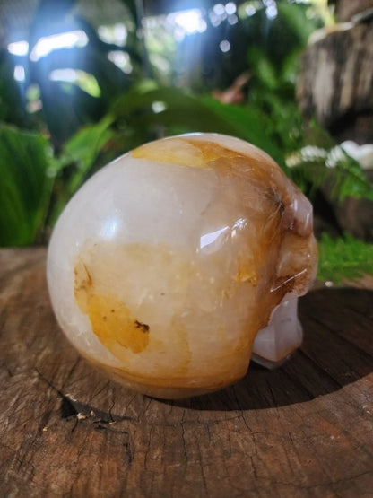 Large Golden Healer Quartz Crystal Carved Skull - Crystals Australia