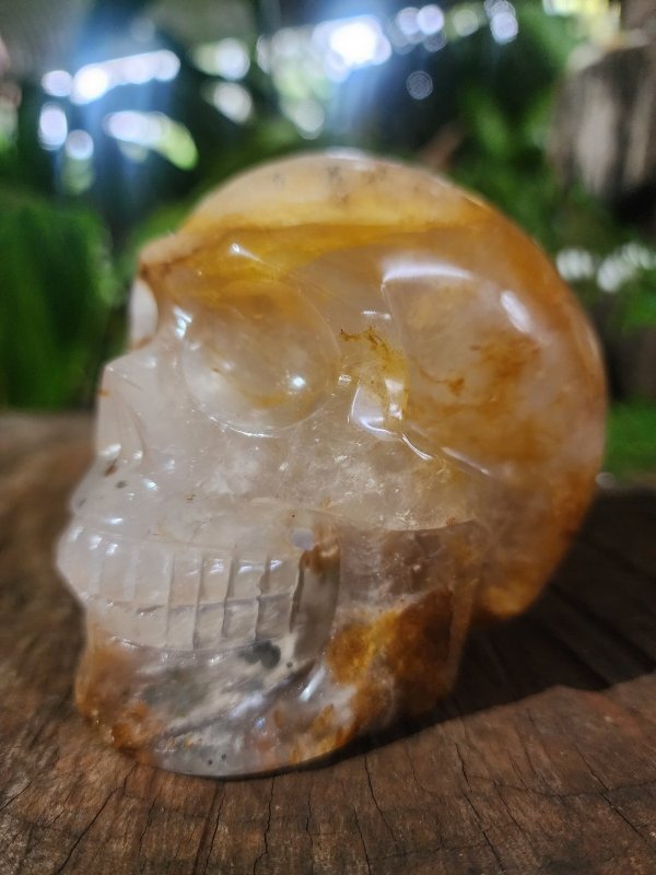 Large Golden Healer Quartz Crystal Carved Skull - Crystals Australia