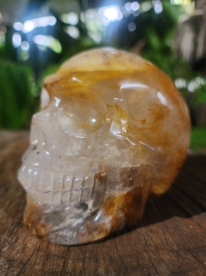Large Golden Healer Quartz Crystal Carved Skull - Crystals Australia
