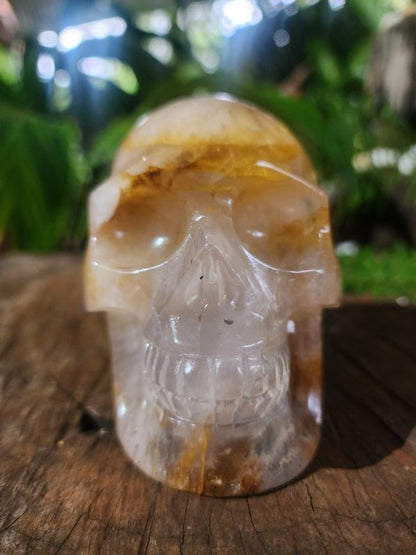 Large Golden Healer Quartz Crystal Carved Skull - Crystals Australia