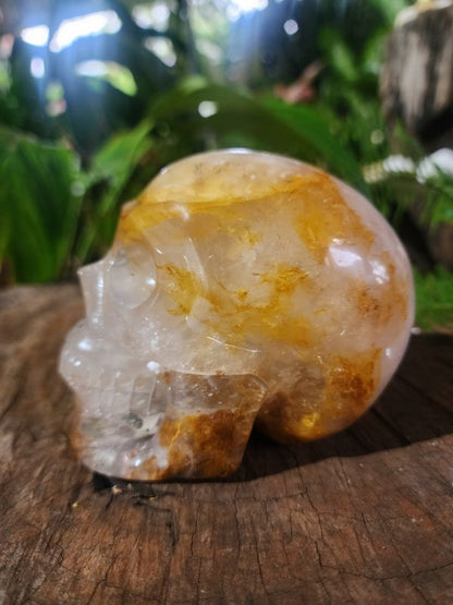 Large Golden Healer Quartz Crystal Carved Skull - Crystals Australia