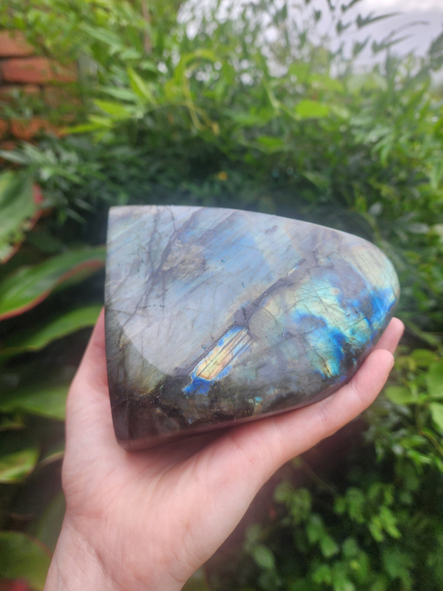 Crystals Large Labradorite Freeform Polished Slab 1135g