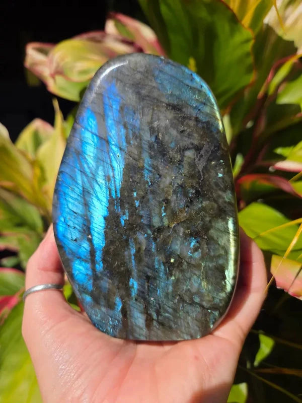 Large Labradorite Freeform Polished Slab High Quality Flash - Crystals Australia