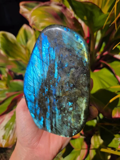 Large Labradorite Freeform Polished Slab High Quality Flash - Crystals Australia