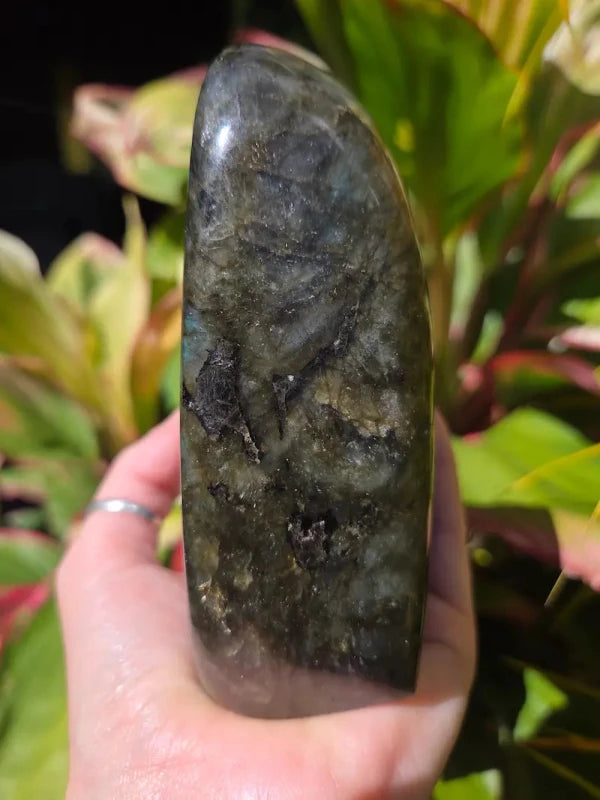 Large Labradorite Freeform Polished Slab High Quality Flash - Crystals Australia