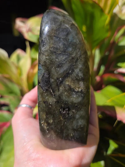 Large Labradorite Freeform Polished Slab High Quality Flash - Crystals Australia