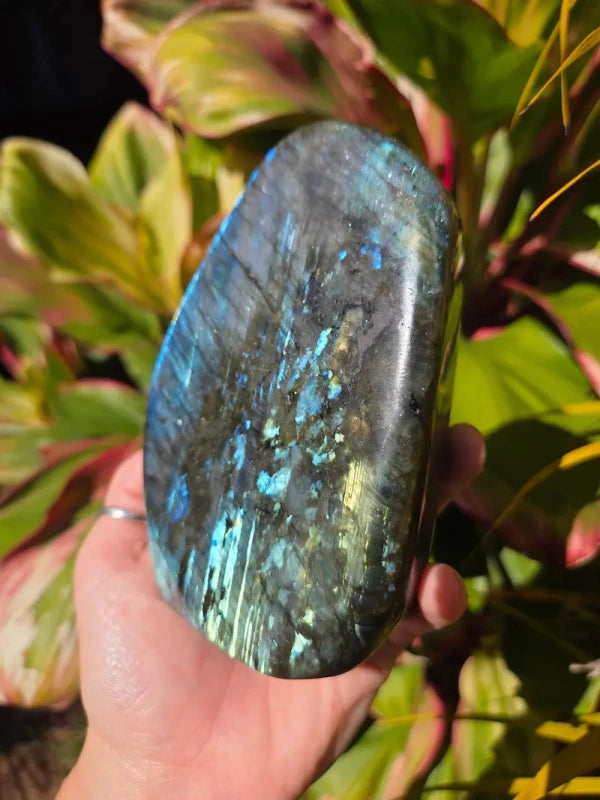 Large Labradorite Freeform Polished Slab High Quality Flash - Crystals Australia