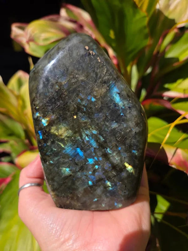 Large Labradorite Freeform Polished Slab High Quality Flash - Crystals Australia