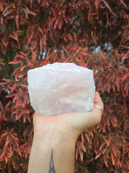 Large Rose Quartz Crystal Candle Holders 1.2kg - Crystals Australia