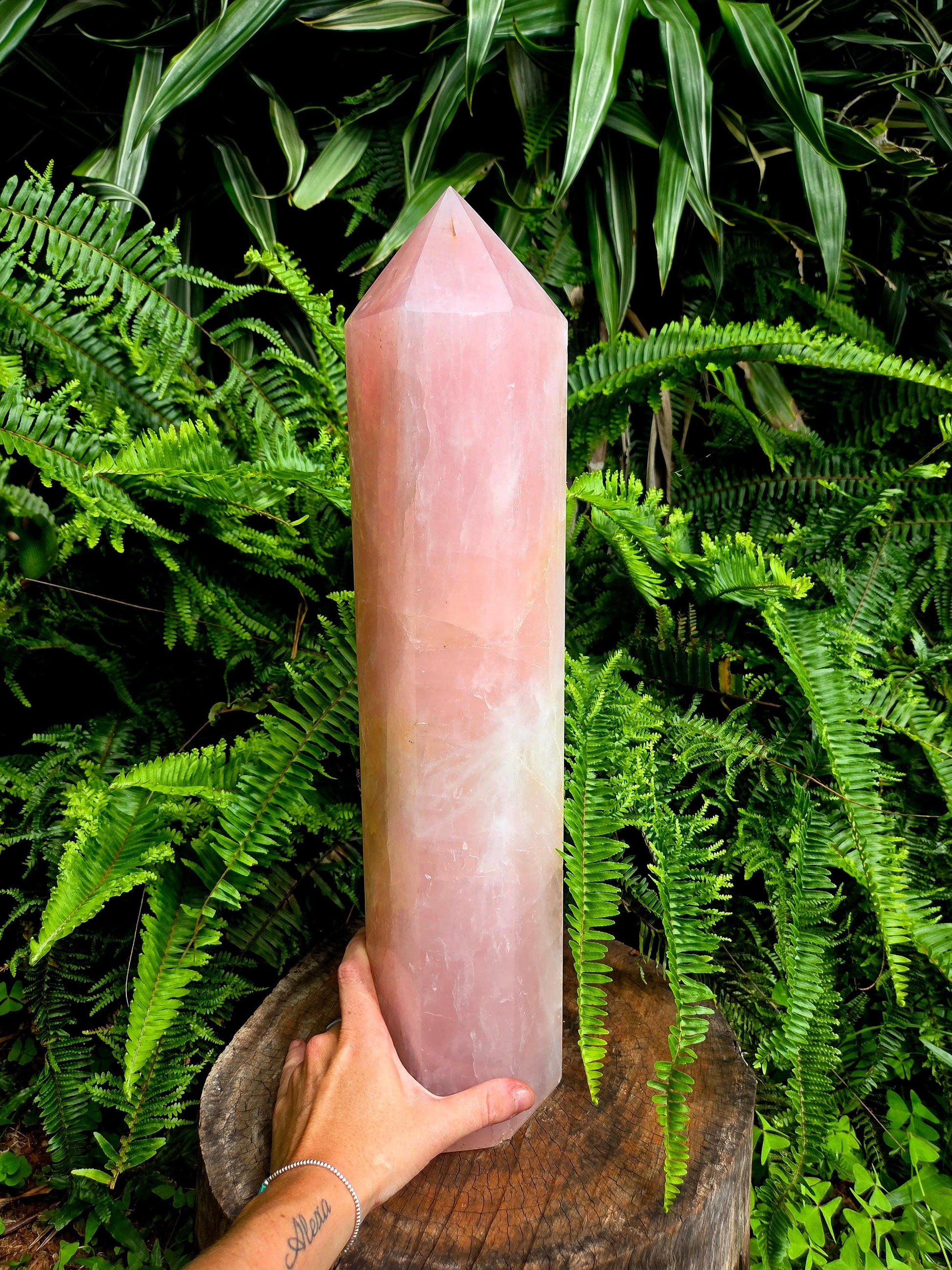 Pink crystal tower held by a hand against a green fern background