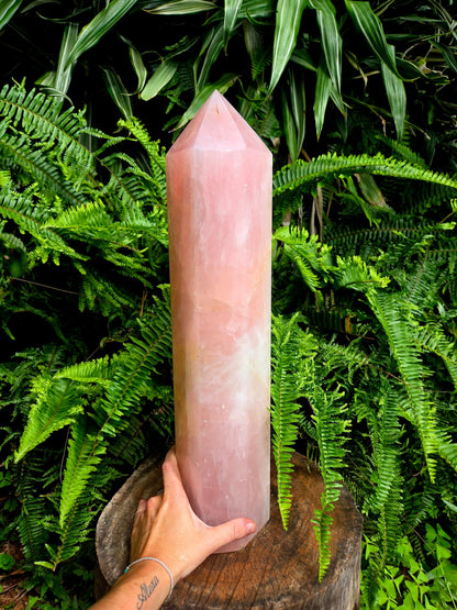 Pink crystal tower held by a hand against a green fern background