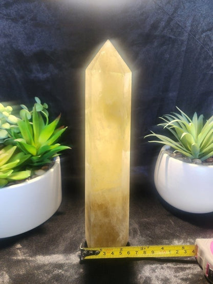 Large Smoky Citrine Quartz Crystal Tower Point 1023g 25cm - Crystals Australia
