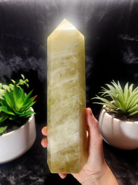 Large Smoky Citrine Quartz Crystal Tower Point 1511g 24cm Australia