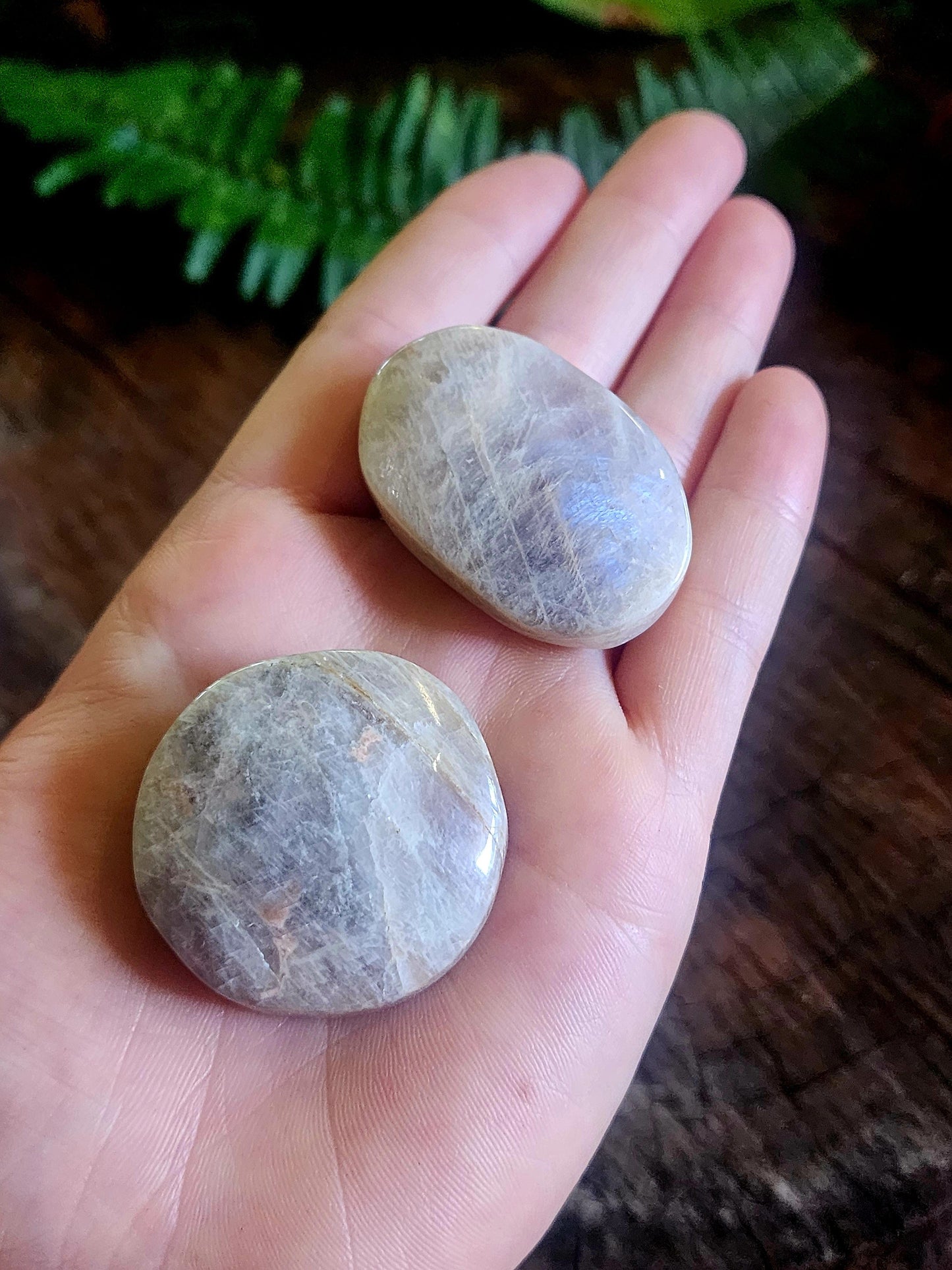 Moonstone Palm Stone Australia