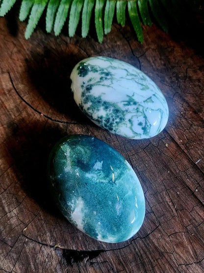 Moss Agate Crystal Palm Stone - Crystals Australia