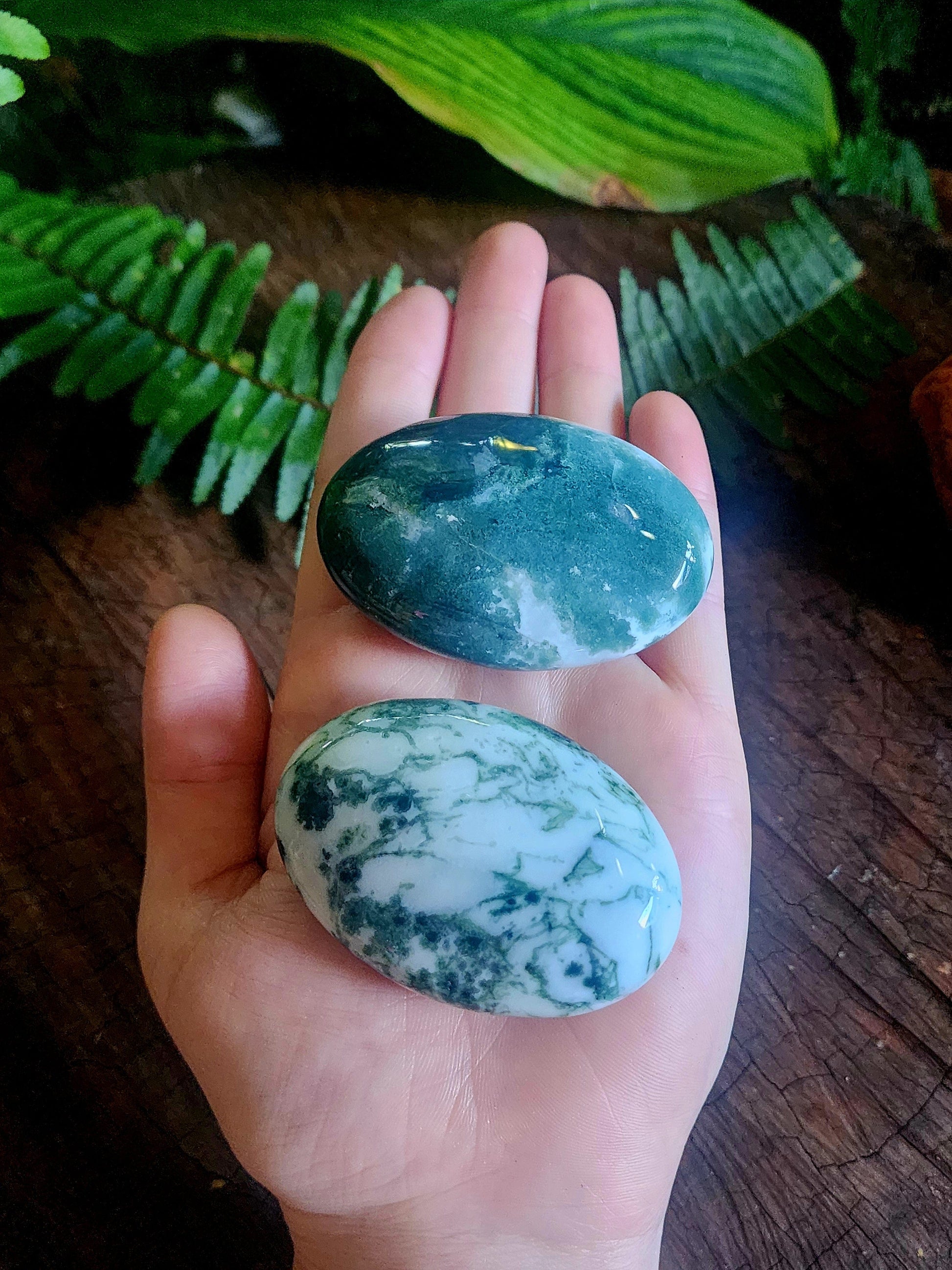 Moss Agate Palm Stone Australia