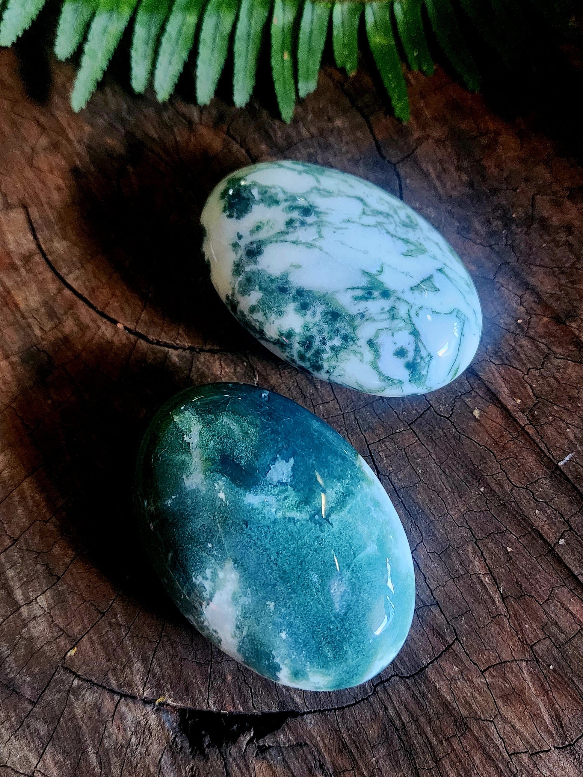 Crystals Moss Agate Palm Stone