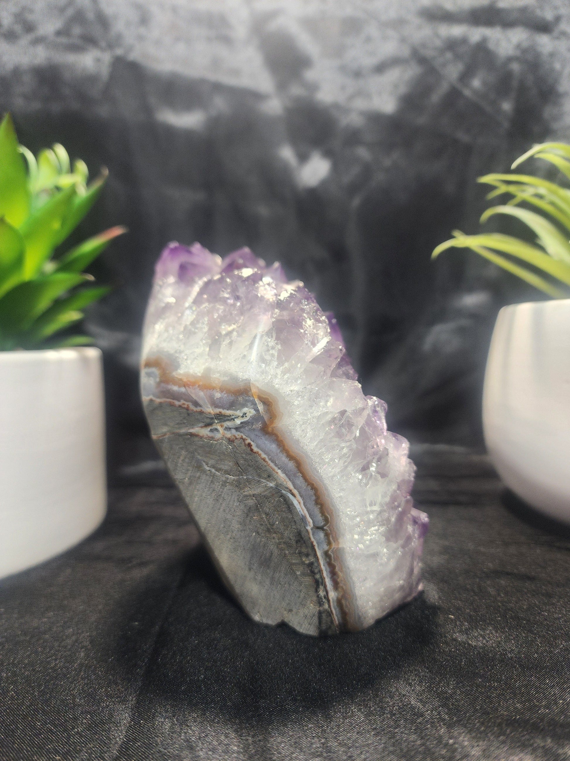 Crystals Natural Amethyst Cluster Geode 1271g Australia