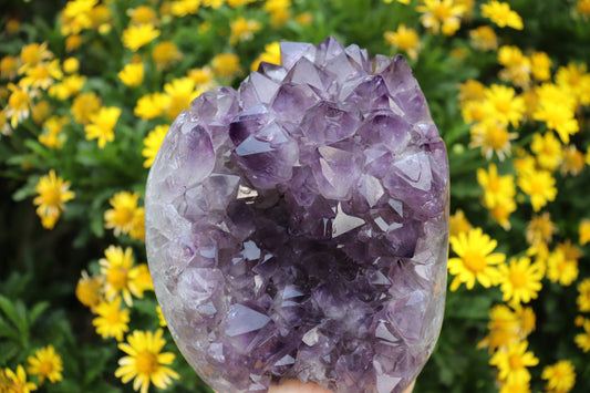 Crystals Natural Amethyst Cluster Geode 1271g Australia