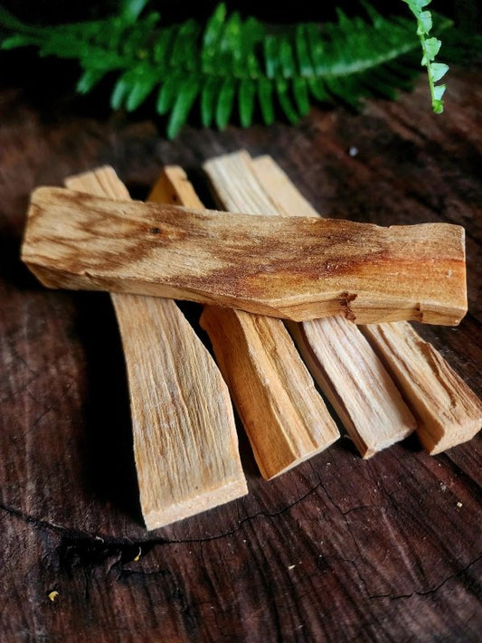 Palo Santo Holy Wood Sticks 10cm - Incense Australia
