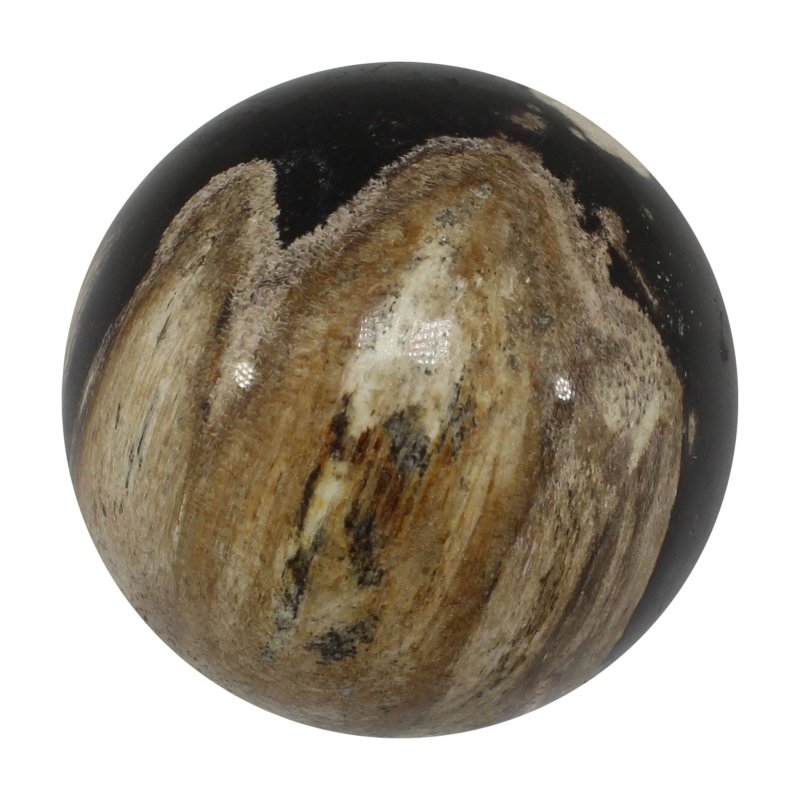 Petrified Wood Spheres 5 - 6cm - Crystals Australia