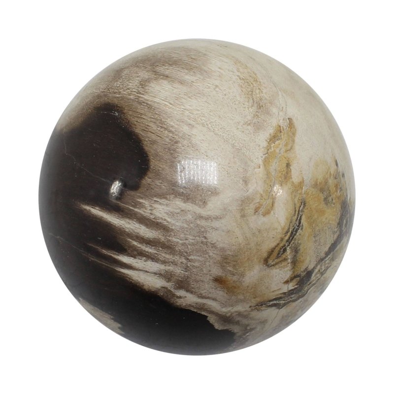 Petrified Wood Spheres 5 - 6cm - Crystals Australia