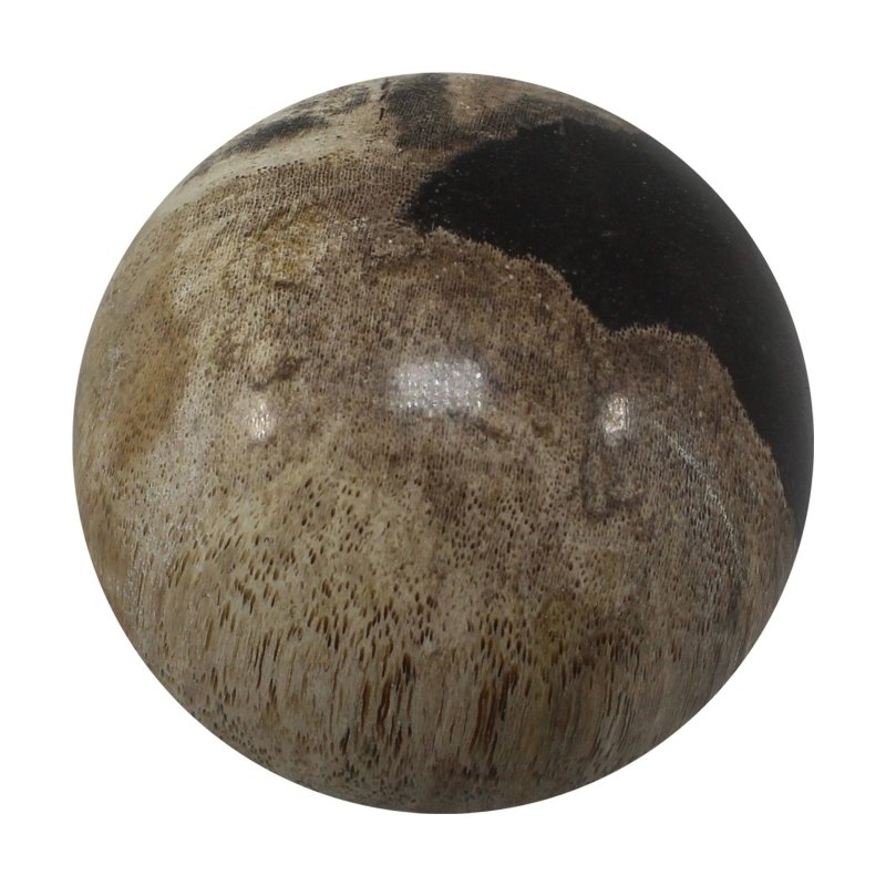 Petrified Wood Spheres 5 - 6cm - Crystals Australia