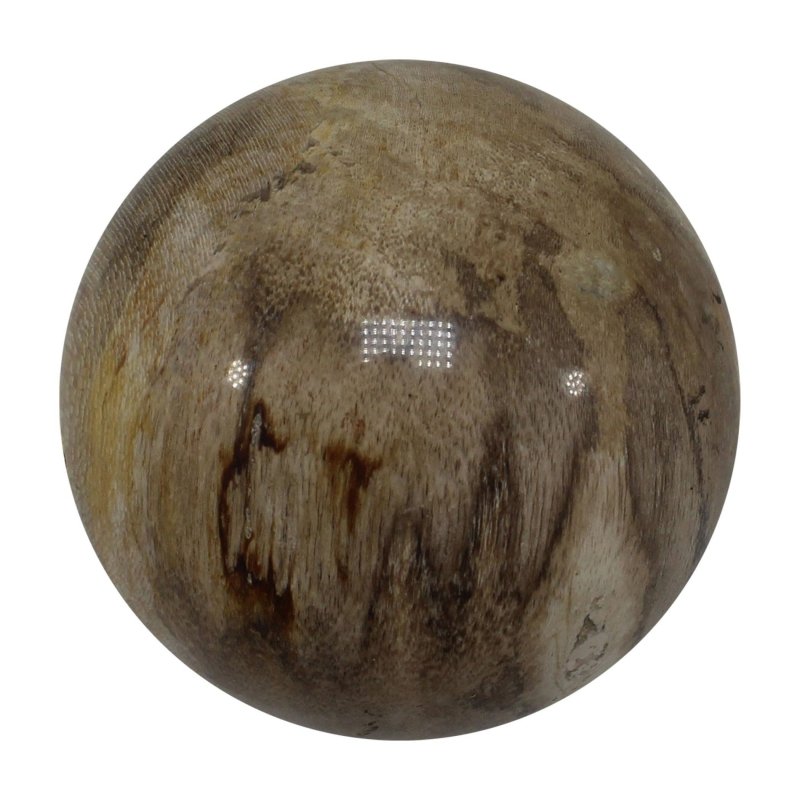 Petrified Wood Spheres 5 - 6cm - Crystals Australia