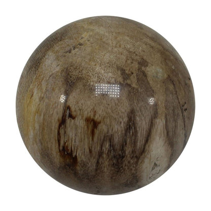 Petrified Wood Spheres 5 - 6cm - Crystals Australia