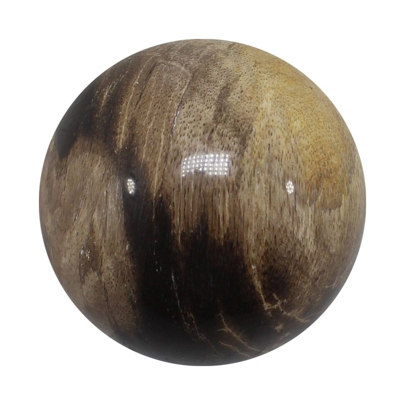 Petrified Wood Spheres 5 - 6cm - Crystals Australia