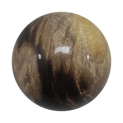 Petrified Wood Spheres 5 - 6cm - Crystals Australia