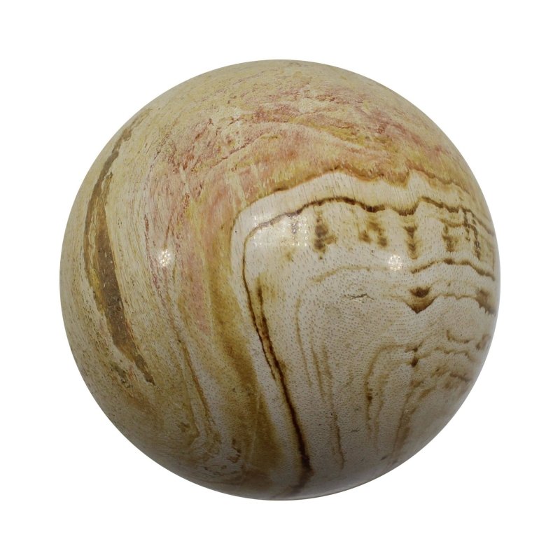 Petrified Wood Spheres 5 - 6cm - Crystals Australia