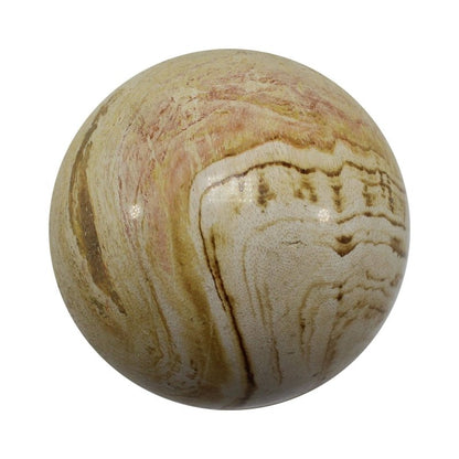 Petrified Wood Spheres 5 - 6cm - Crystals Australia