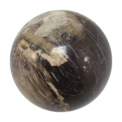 Petrified Wood Spheres 5 - 6cm - Crystals Australia