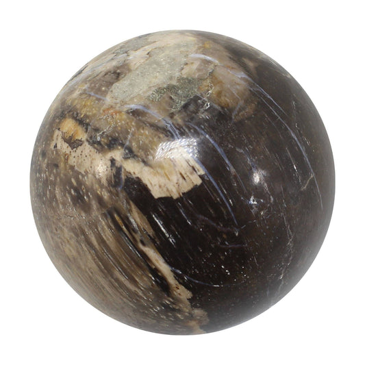Crystals Petrified Wood Spheres 5-6cm Australia