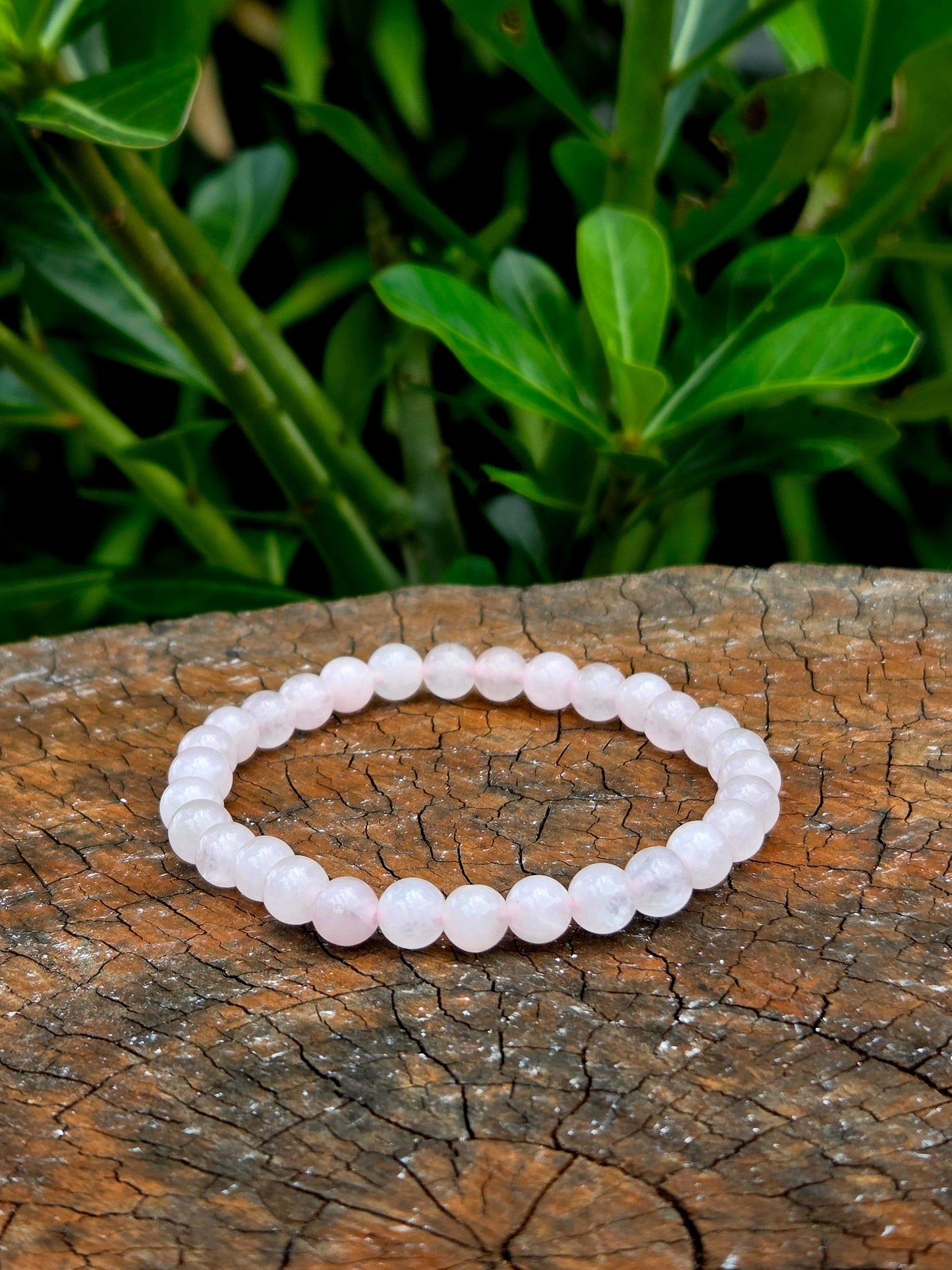 Crystals Rose Quartz Bracelet 6mm