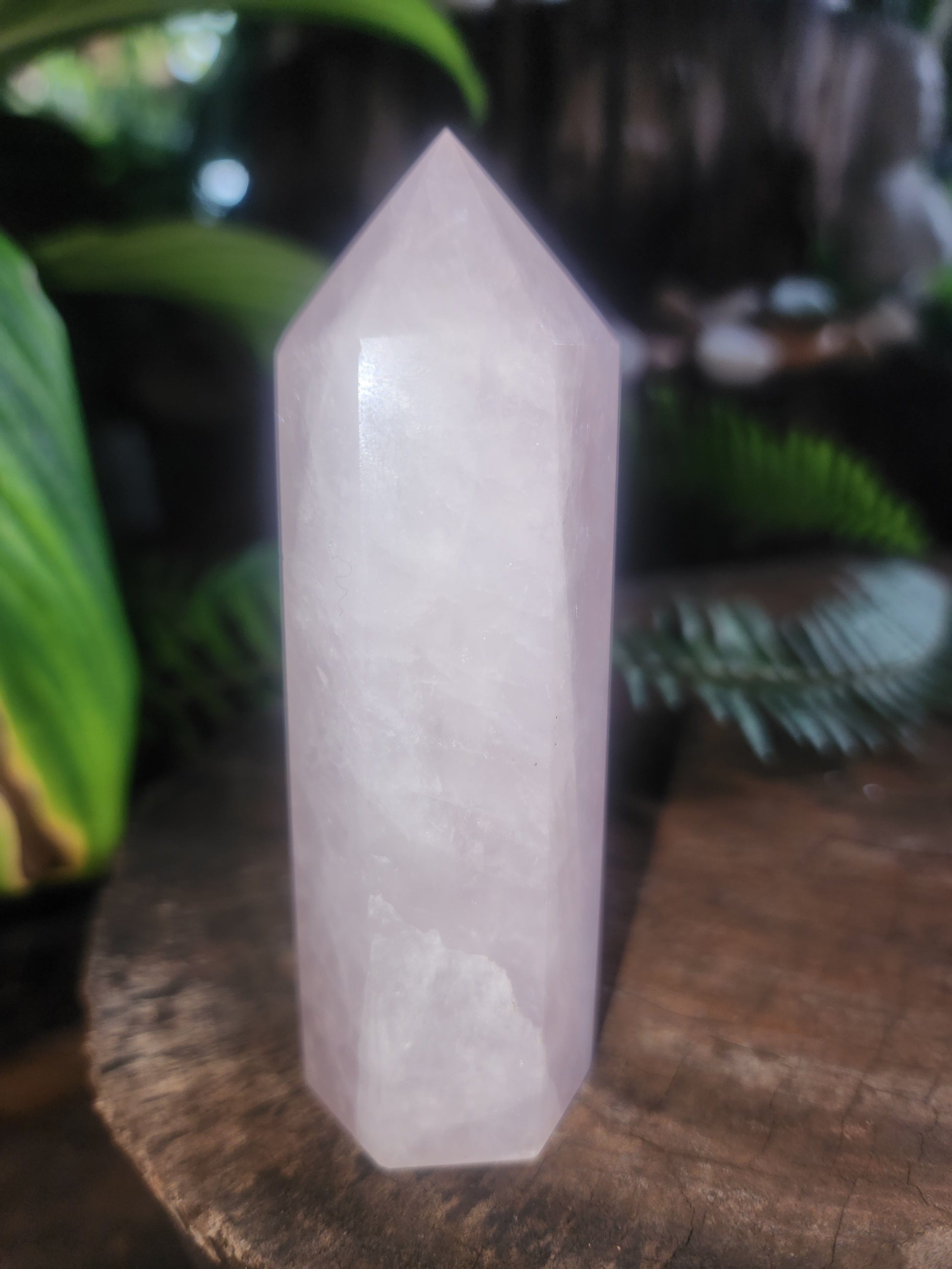 Rose Quartz Crystal Point 173g Australia