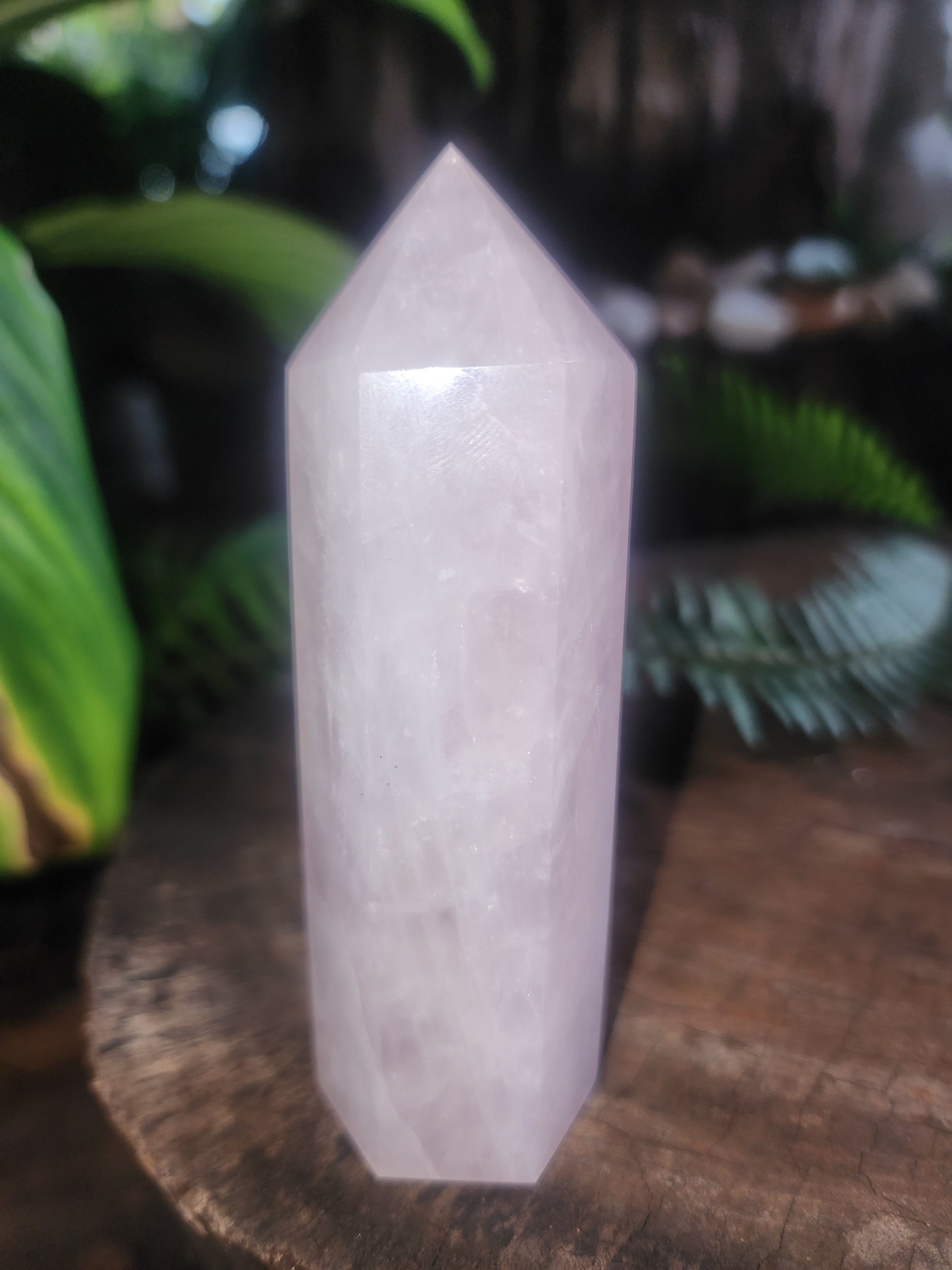 Rose Quartz Crystal Point 173g Australia