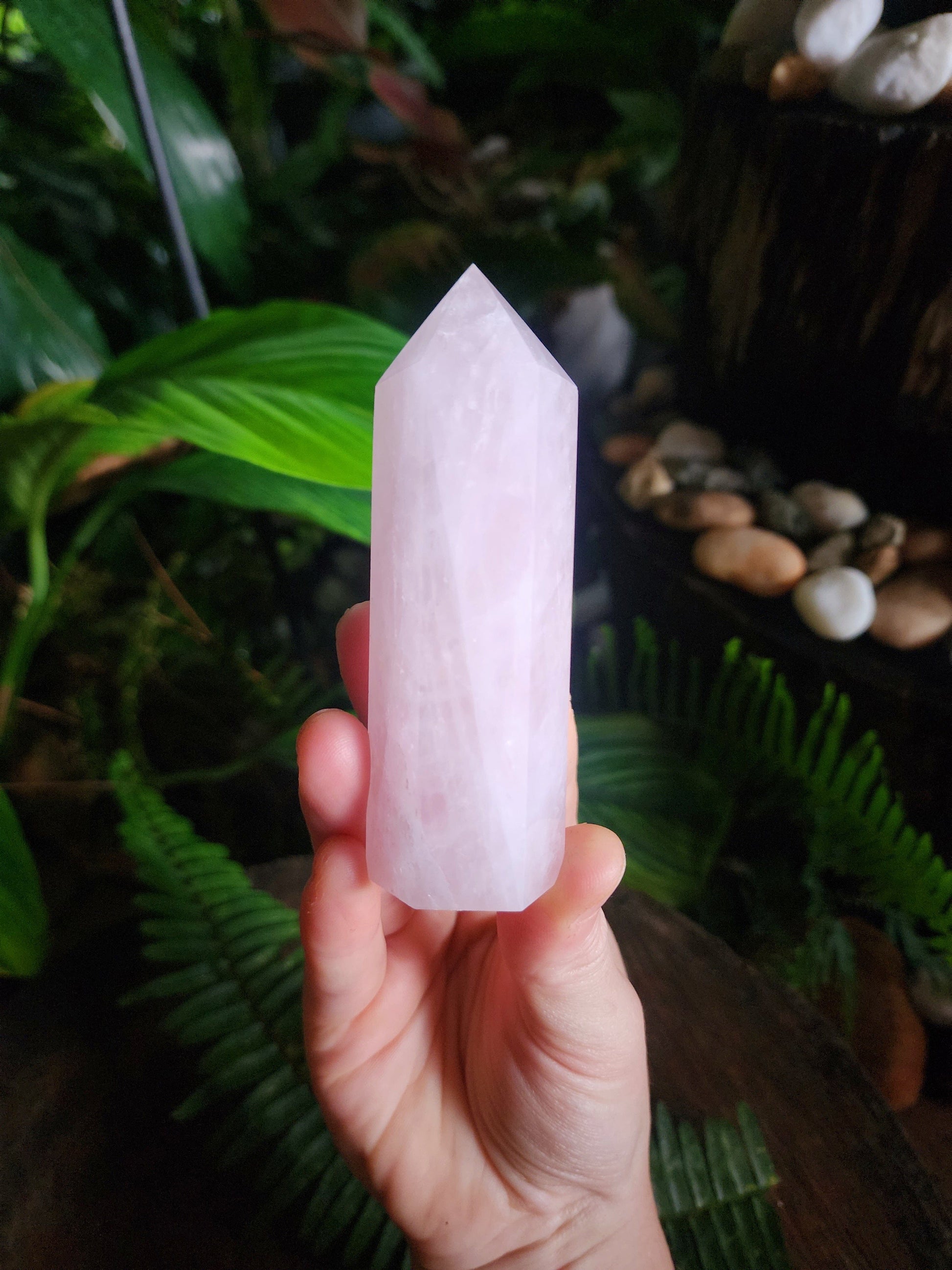 Rose Quartz Crystal Point 173g Australia