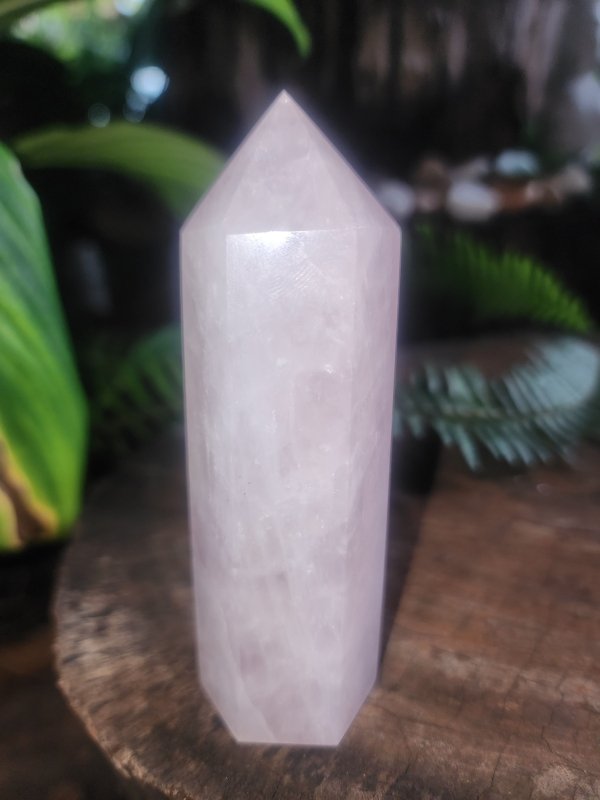 Rose Quartz Crystal Point 173g - Crystals Australia