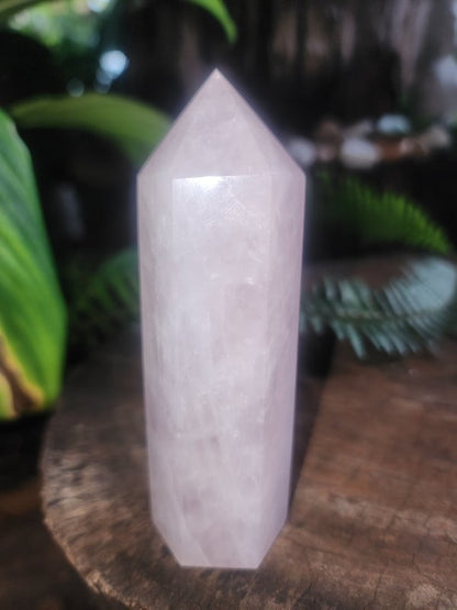Rose Quartz Crystal Point 173g - Crystals Australia